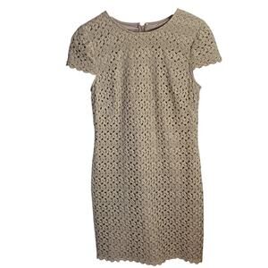 Suzi Chin Maggy Boutique Mocha Cap Sleeve Crochet Lace Overlay Dress W-725 Sz 4